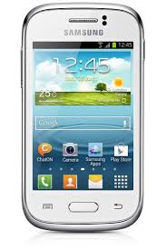 Samsung Galaxy Young S6310