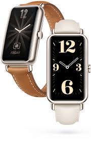 Watch Fit mini