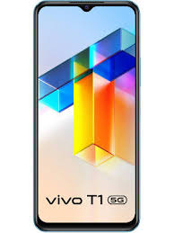 T1