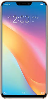 Y81