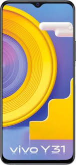 Y31