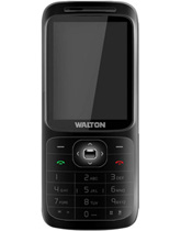 C31